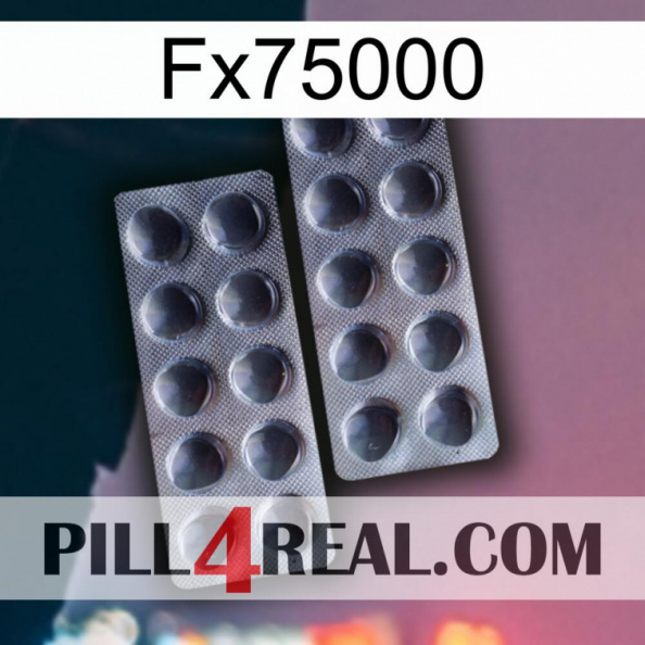 Fx75000 31.jpg